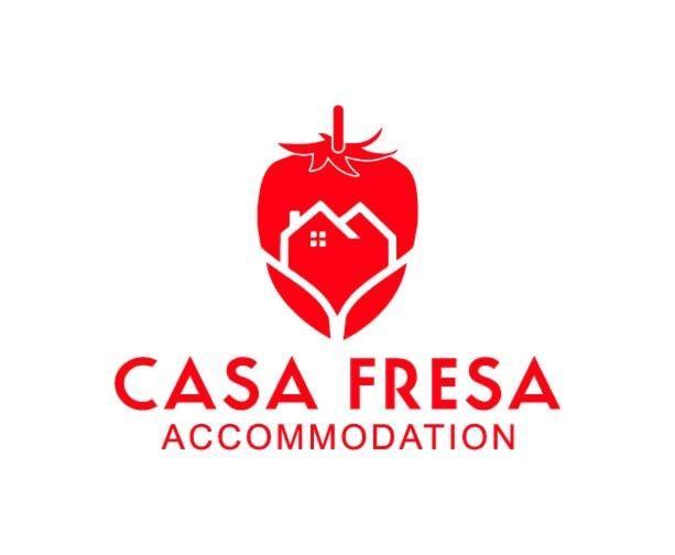 Casa Fresa - King Street Apartments Dundee Zewnętrze zdjęcie